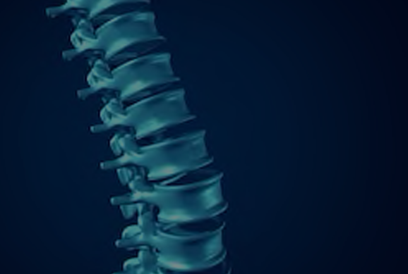 We start with a detailed health history, digital posture examination and full spine examination.